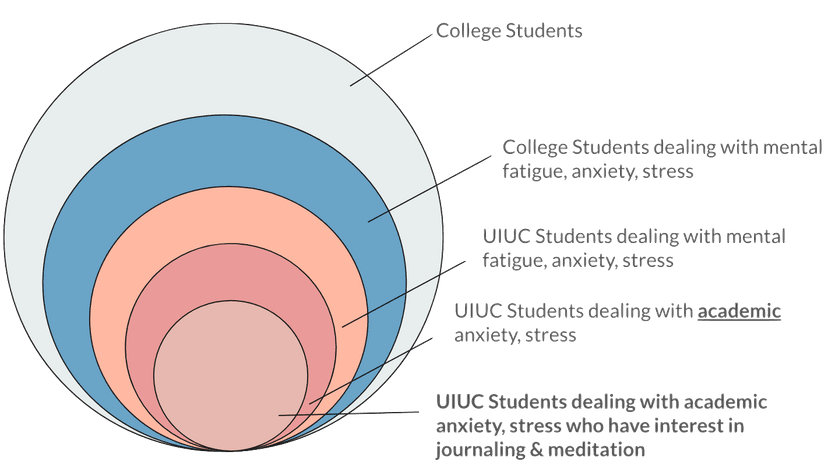 Understanding the User